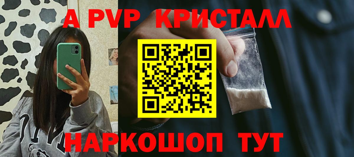 Alfa_PVP СК КРИС Назрань