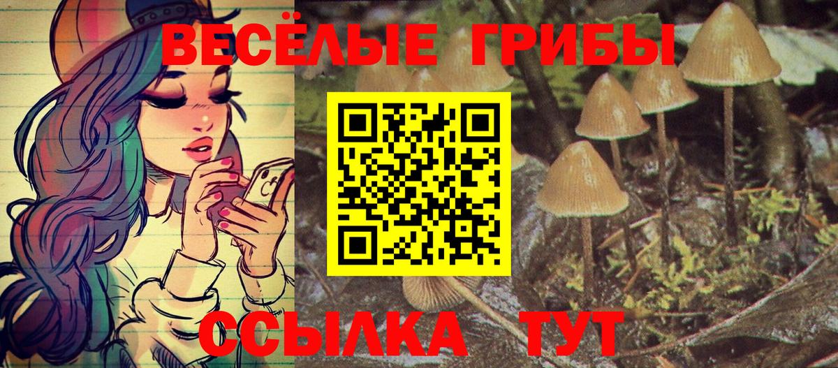 Галлюциногенные грибы Cubensis Назрань