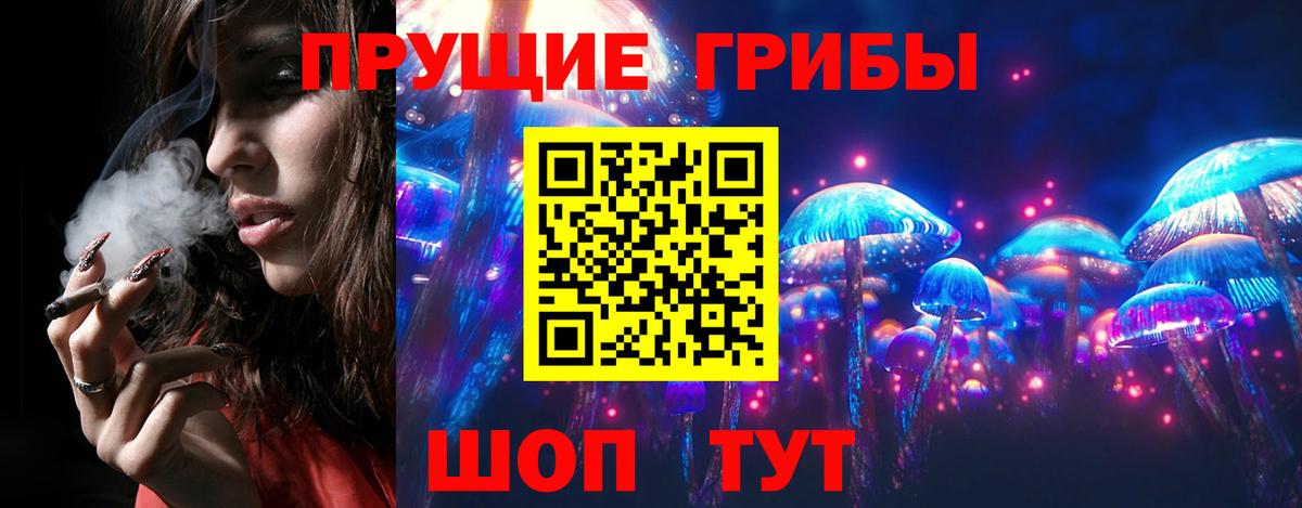 Назрань  наркошоп  Вход с VPN  Псилоцибиновые грибы прущие грибы 