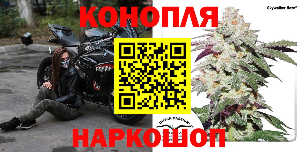 Марихуана конопля Назрань